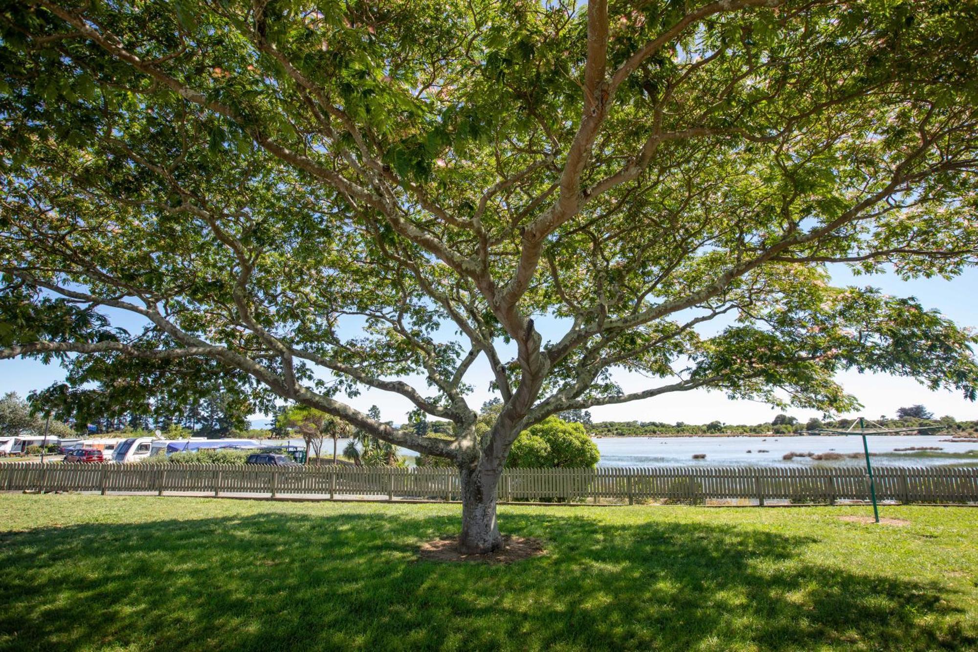 Tahuna Beach Holiday Park Nelson Chambre photo